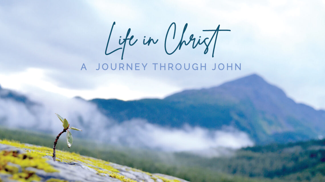 Life in Christ – The Conclusion